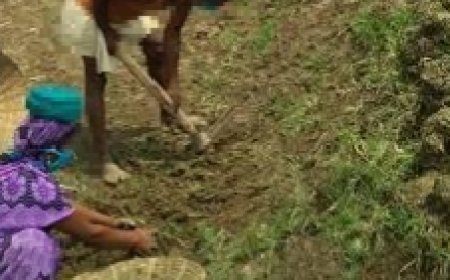 Jabalpur News: मृत व्यक्ति खोद रहा था "अमृत सरोवर", EOW ने पकड़ा फर्जीवाड़ा