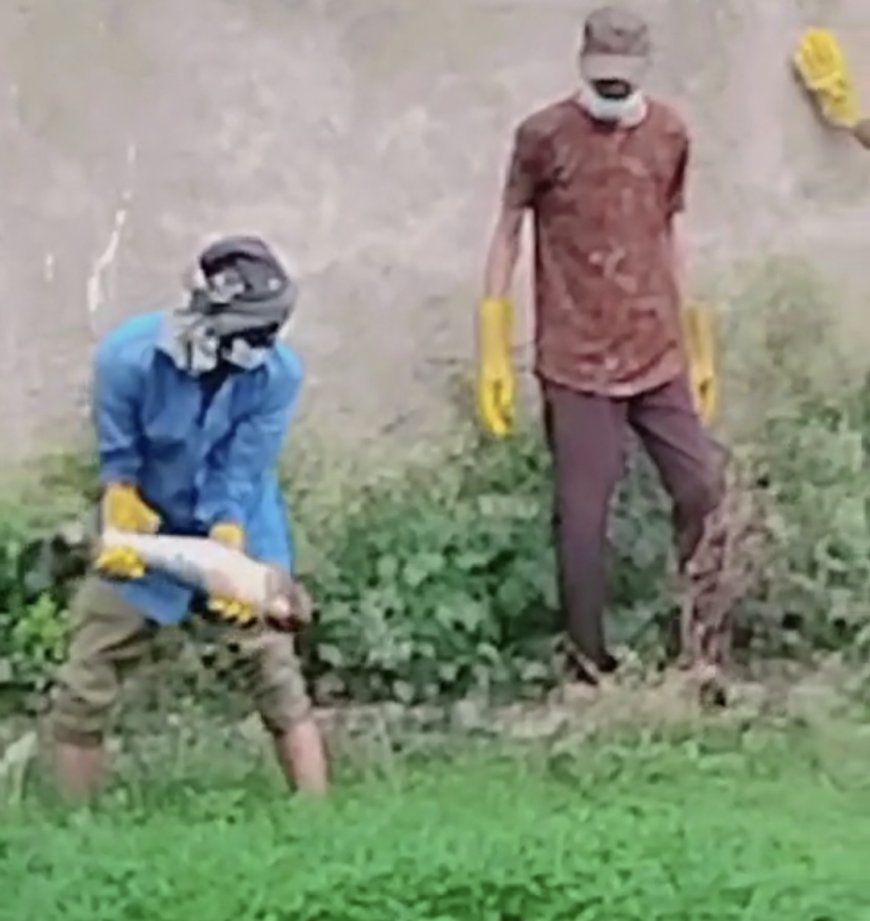 Jabalpur Crime News: टुकड़ों में मिली लाश, हाथ में ‘मंजू’ नाम का टैटू ...24 घंटे बाद भी नहीं हो सकी शिनाख्त