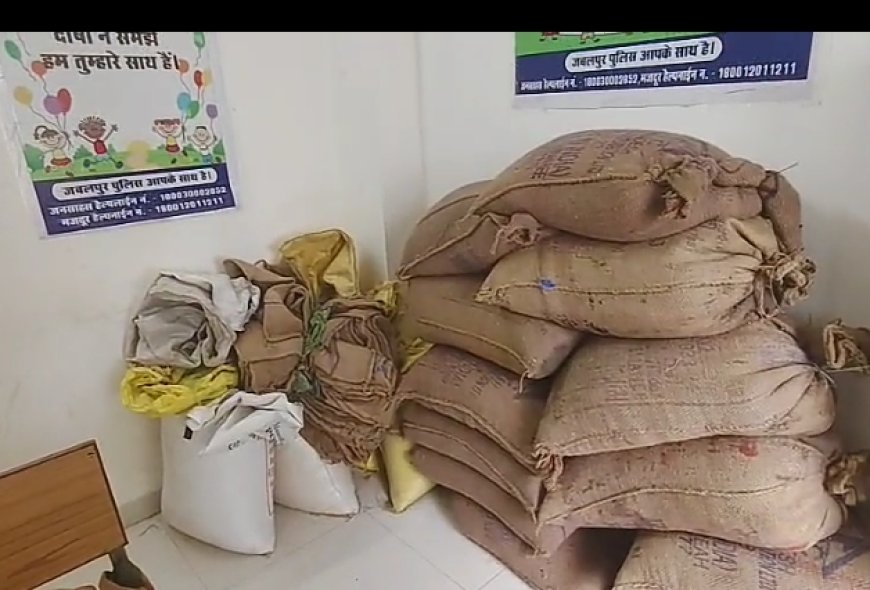 Jabalpur News: राशन दुकान से गेंहू-चावल की 37 बोरियां हुई चोरी, जब तक पुलिस तक पहुंची 10 बोरी अनाज चट कर गए थे चोर