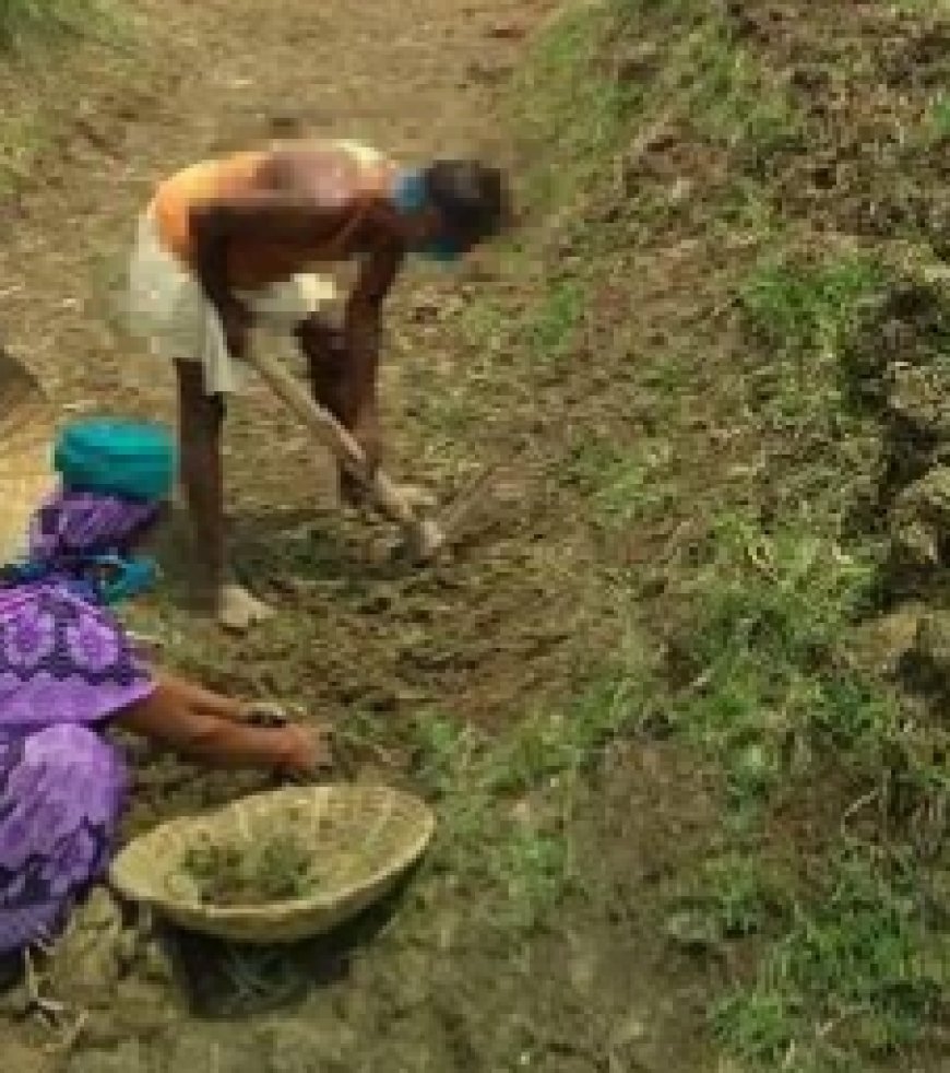 Jabalpur News: मृत व्यक्ति खोद रहा था "अमृत सरोवर", EOW ने पकड़ा फर्जीवाड़ा