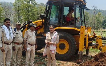Jabalpur News: जंगल में फेंसिंग कर थी जमीन कब्जाने की प्लानिंग,वन विभाग ने चलाया बुलडोजर