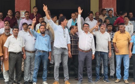 Jabalpur News: RDVV कर्मचारी संघ ने प्रशासन के खिलाफ खोला मोर्चा, दो घंटे ठप रहा काम...नारेबाजी से गूंजा कैंपस