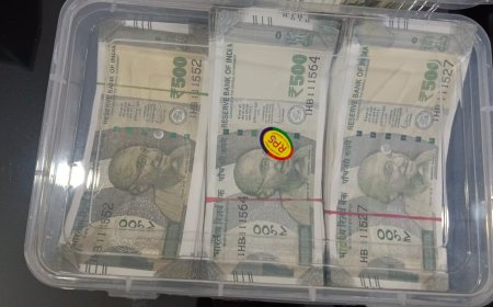 Jabalpur News: नकली नोटों के बंडलों के साथ पुलिस ने एक युवक को मंडी मदार टेकरी से दबोचा