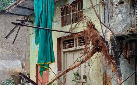 Jabalpur News: आषाढ़ की बरसात, हनुमानताल में मकान ढहा, 2 पेड़ गिरे