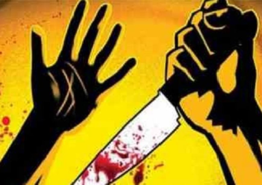 Jabalpur News: शराबी पिता के हाथों मां को पिटता देख बौखलाया बेटा, कुल्हाड़ी से कर दी हत्या