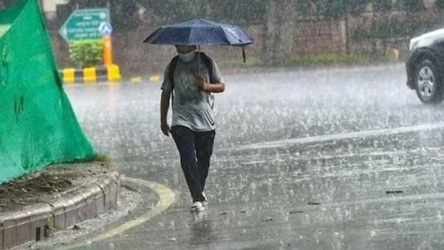 कई इलाकों में बारिश का अलर्ट, बस्तर से आगे मानसून के बढ़ने की संभावना