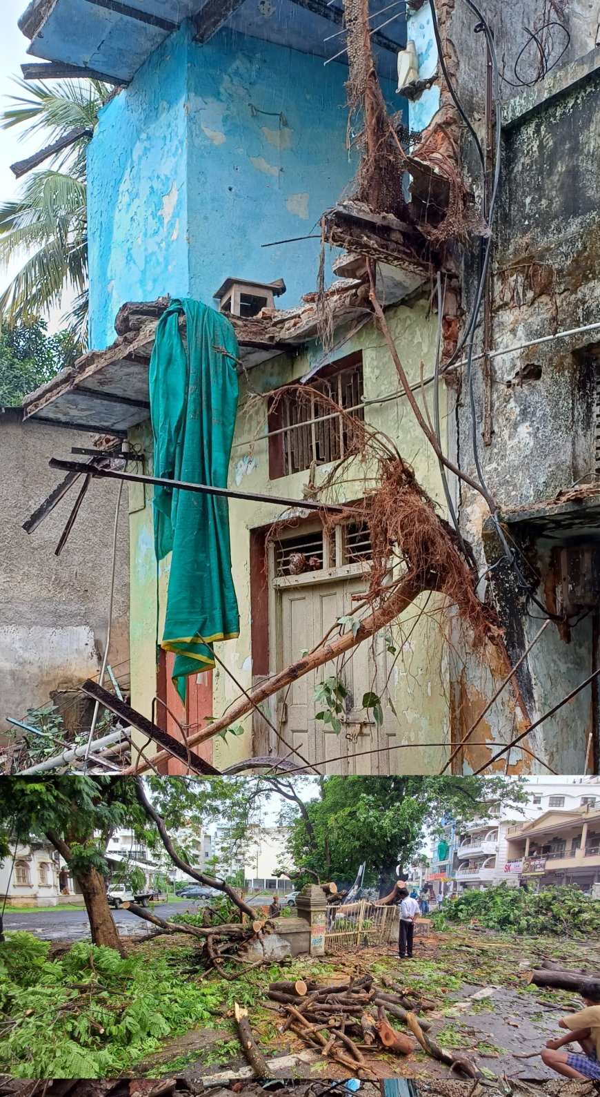 Jabalpur News: आषाढ़ की बरसात, हनुमानताल में मकान ढहा, 2 पेड़ गिरे