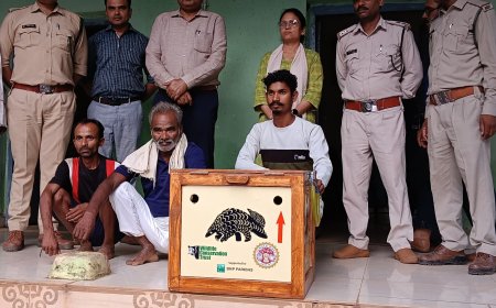 Jabalpur News: वायरल वीडियो के सहारे पैंगोलिन  तस्करों तक पहुंचा वन विभाग