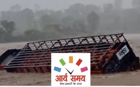 Jabalpur News: उफनाती नदी में एलपीजी गैस सिलेंडर से भरा ट्रक, मंडला में कार बही