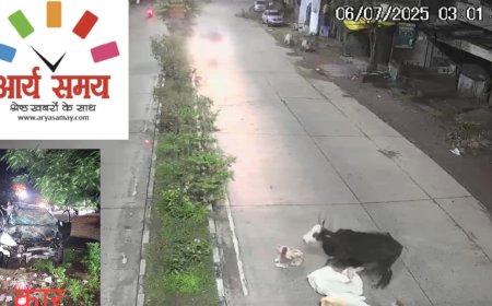 Jabalpur News: कैंट बिलहरी तेज रफ्तार कार ने 5 गायों को रौंदा, घटना का CCTV आया सामने