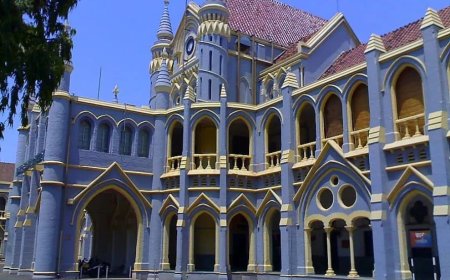 Jabalpur News:छात्रसंघ चुनाव की मांग पहुंची एमपी हाईकोर्ट,अगली सुनवाई 5 अगस्त को