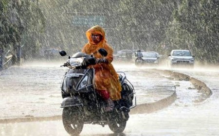 Jabalpur News: जबलपुर में सबसे ज्यादा कुंडम तो सबसे कम बरसात बरगी में हुई, आंकड़ा 540 मिमी पर पहुंचा