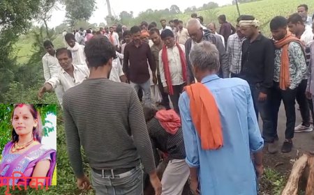 Jabalpur News: सर्पदंश से महिला की मौत, सड़क किनारे करना पड़ा अंतिम संस्कार