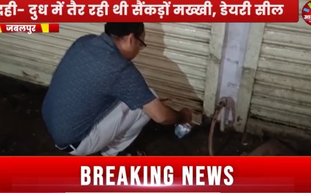 Jabalpur News: मदर डेयरी में खाद्य सुरक्षा का छापा,दही- दुध में तैर रही थी सैंकड़ों मख्खी, डेयरी सील