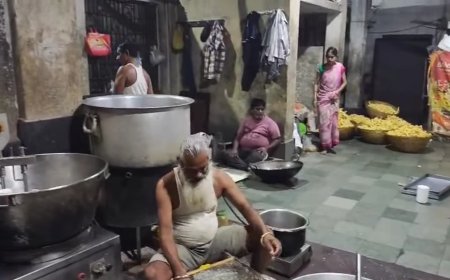 Jabalpur News: नमकीन-मिठाई बीच अटखेलियां कर रहे थे काकरोच, न्यू दुर्गा सेव भंडार पर लगा प्रतिबन्धित