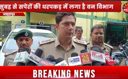 Jabalpur News: सुबह से सपेरों की धरपकड़ में लगा है वन विभाग