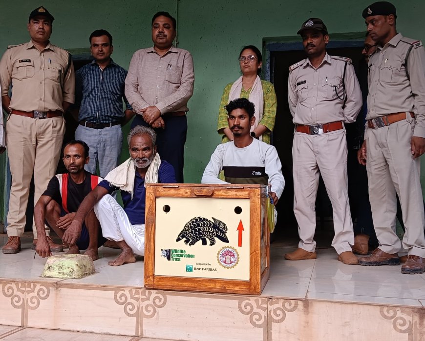 Jabalpur News: वायरल वीडियो के सहारे पैंगोलिन तस्करों तक पहुंचा वन विभाग