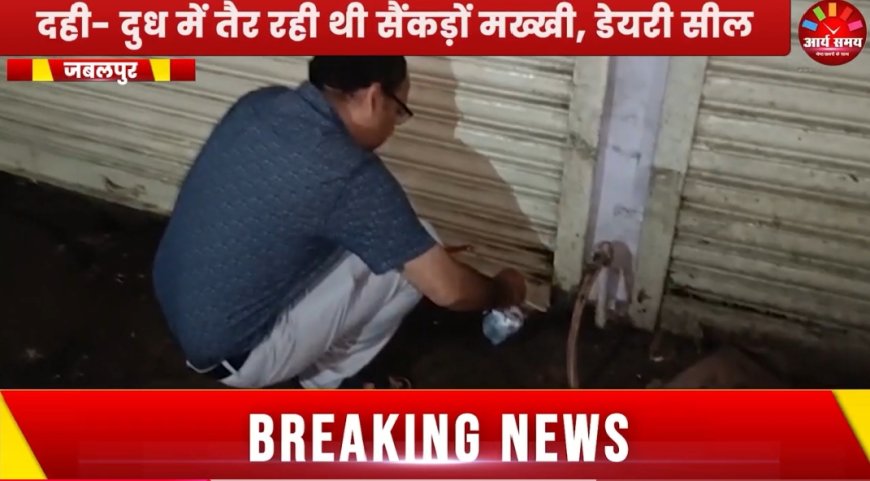 Jabalpur News: मदर डेयरी में खाद्य सुरक्षा का छापा,दही- दुध में तैर रही थी सैंकड़ों मख्खी, डेयरी सील