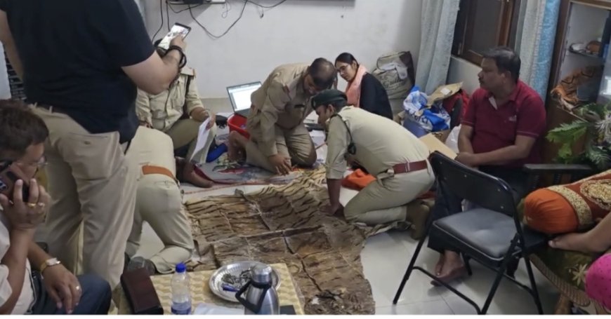 Jabalpur News: डिप्टी कमिश्नर सर्वटे के घर में मिली बाघ की खाल,आधी रात वन विभाग ने दी दबिश
