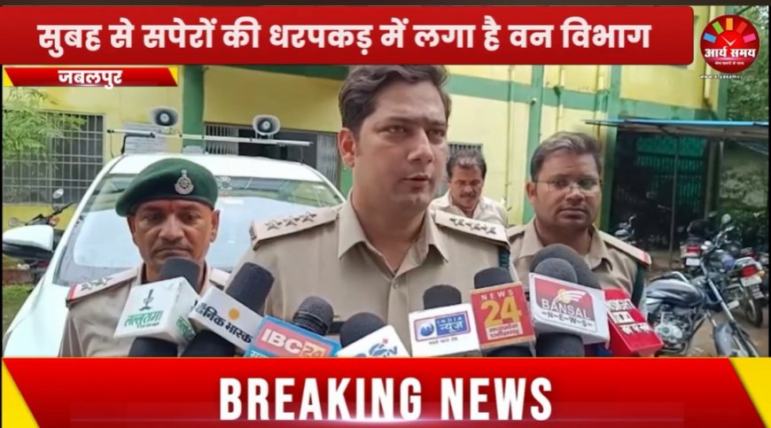 Jabalpur News: सुबह से सपेरों की धरपकड़ में लगा है वन विभाग