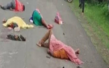 Mandla  News: सड़क दुघर्टना में जीजा- साले और दो बच्चे की मौत