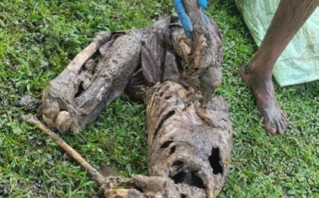 Jabalpur News:परियट नदी में मिला नर कंकाल, जांच में जुटी पुलिस