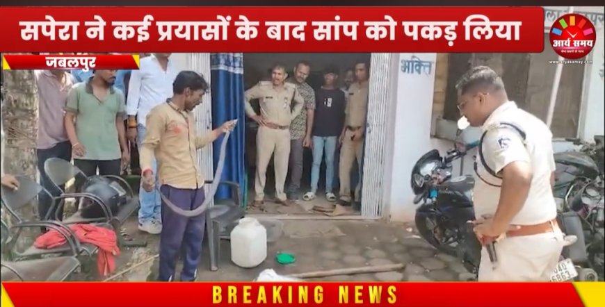 Jabalpur News: पुलिस चौकी में घुसा सांप,मचा हड़कंप