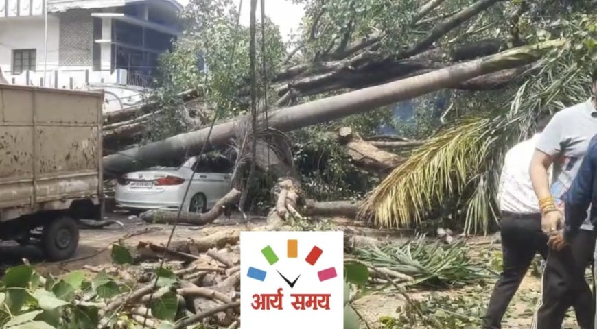 Jabalpur News: 100 साल पुराना वृक्ष जैन मंदिर पर गिरा, कई वाहन क्षतिग्रस्त,नगर का अमला पहुंचा मौके पर