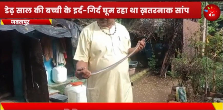 Jabalpur News: मासूम के पास बैठा जहरीला करैत सांप