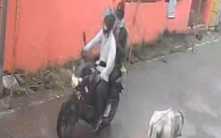 Jabalpur News:  दुर्गा मंदिर के पास भाजपा मंडल अध्यक्ष की मां के साथ हुई लूट