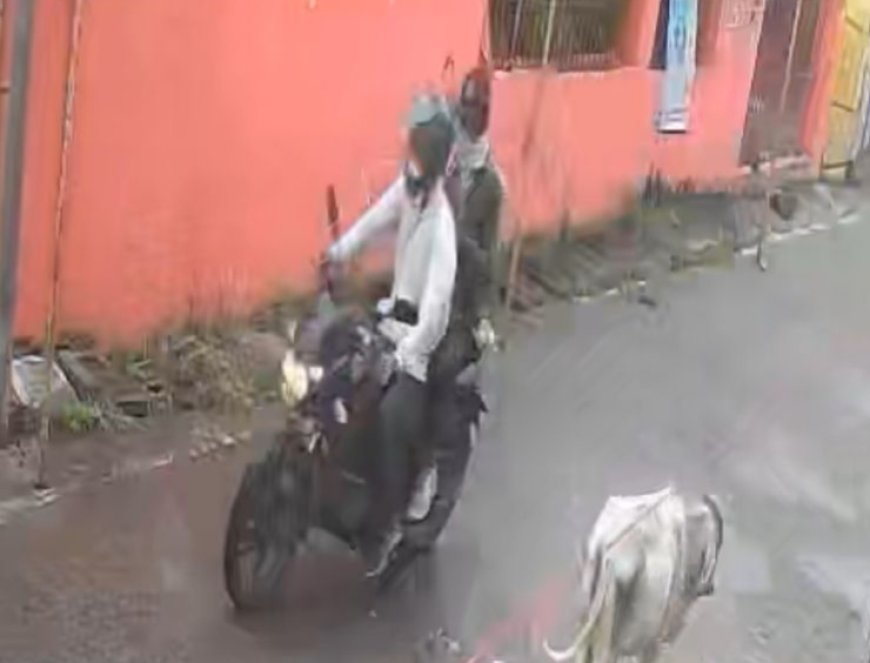 Jabalpur News:  दुर्गा मंदिर के पास भाजपा मंडल अध्यक्ष की मां के साथ हुई लूट