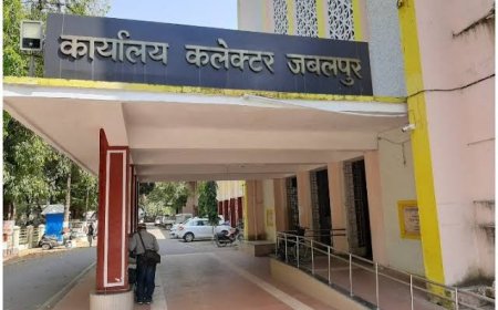 Jabalpur News: अब हेलमेट पहनकर आना होगा कलेक्‍ट्रेट, जारी हुए निर्देश