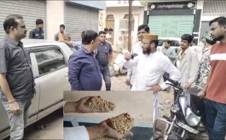 Jabalpur News: घुन लगा अनाज बांटने के मामले में राशन दुकान संचालकों के विरूद्ध होगी दंडात्मक कार्यवाही, कलेक्टर के निर्देश पर अधिकारियों ने की जांच