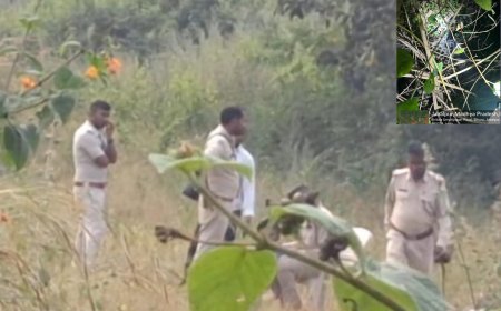 Jabalpur News: जंगली सुअरों के बाद निसर्ग इस्पात के कैंपस में मिला तेंदुए का शव, डीएफओ सहित फारेस्ट अधिकारी पहुंचे मौके पर