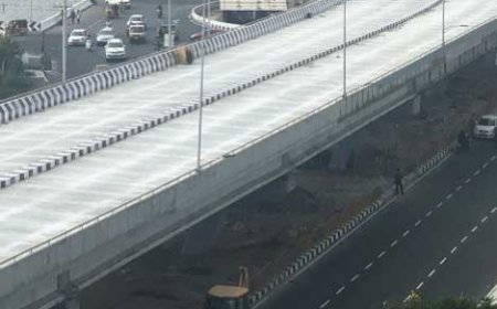 Jabalpur News: फ्लाईओवर में लगी लोहे की प्लेटों को चोरी करते पकड़ा गया युवक, राहगीरों ने पुलिस के हवाले किया