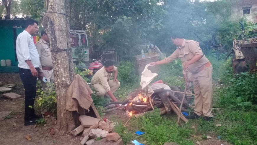 Jabalpur News: पैंगोलिन का एक्सीडेंट, वाहन चालक पर वन अधिनियम के तहत प्रकरण दर्ज