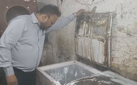 Jabalpur News: छोटी ओमती रोड के न्‍यू बेस्‍ट बेकरी में गंदगी के बीच बन रहे थे केक,खाद्य पंजीयन निलंबित, कारोबार पर प्रतिबंध