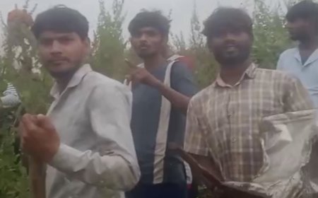 Jabalpur News: तेंदुए की मूमेंट से आधा दर्जन गांवो में दहशत