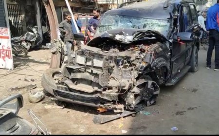 Jabalpur News: चेरीताल में तेज रफ्तार कार ने मचाया कोहराम, गाय की जान