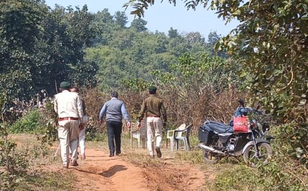 Jabalpur News: गौरहा के जंगल में मृत मिला तेंदुआ, बीते पंद्रह दिनों से मझौली से लगे आधा दर्जन गांवों थी मूमेंट