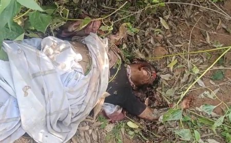 Jabalpur News: पनागर के नरंगवा आम के बगीचे में मिली महिला की रक्तरंजिश लाश, दुष्कर्म के बाद हत्या का संदेह