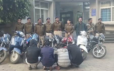 Jabalpur News: लूट - डकैती कर वाहन चुराने वाले गिरोह के 5 सदस्य गिरफ्तार, लूटी हुई 7 दो पहिया वाहन बरामद