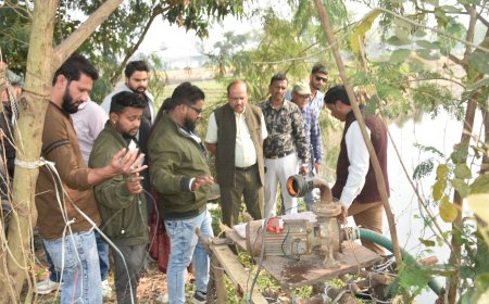 Jabalpur News: गंदे नाले के पानी से सब्जियों सिंचाई, प्रशासन ने दूसरे दिन की बड़ी कार्रवाई