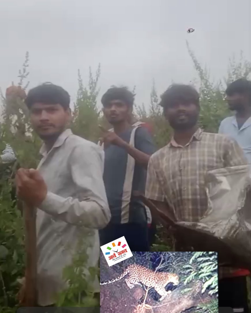 Jabalpur News: तेंदुए की मूमेंट से आधा दर्जन गांवो में दहशत