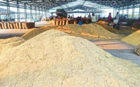 Jabalpur News:बायोमैट्रिक प्रमाणीकरण असफल होने पर ओटीपी के आधार पर किसानों से खरीदी जा सकेगी धान