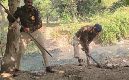 Jabalpur Breaking News: अवैध शराब को लेकर पुलिस की बड़ी कार्यवाही, 20 हजार लीटर लाहन किया बरामद