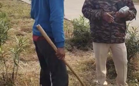 Jabalpur News: चालान कटते ही बिफरा ट्रक ड्राइवर, आड़ी खड़ी कर एनएच 44 किया जाम