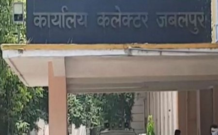 Jabalpur News: एवरग्रीन डीलकाम कम्पनी पर चला राजस्व विभाग का हंटर, जमीन बेचने पर लगी रोक