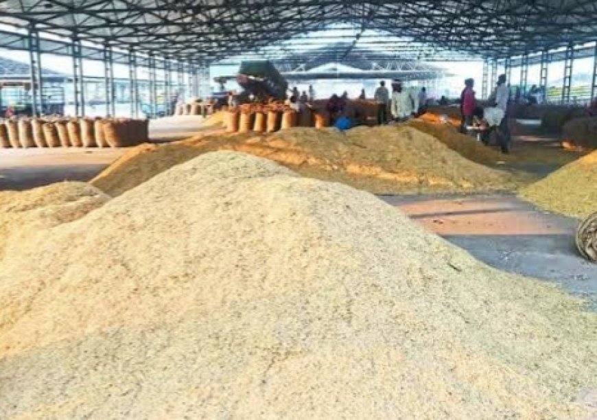 Jabalpur News:बायोमैट्रिक प्रमाणीकरण असफल होने पर ओटीपी के आधार पर किसानों से खरीदी जा सकेगी धान