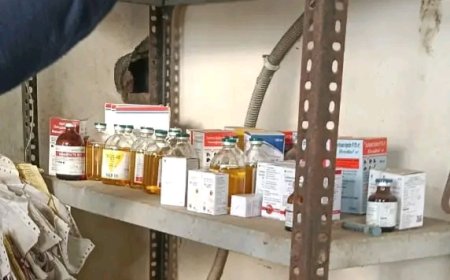 Jabalpur News: गौरैयाघाट की अख्‍तर डेयरी में गरूड़ दल ने मारा छापा, पानी की टंकी में मिली गंदगी, मृत मवेशी भी मिले